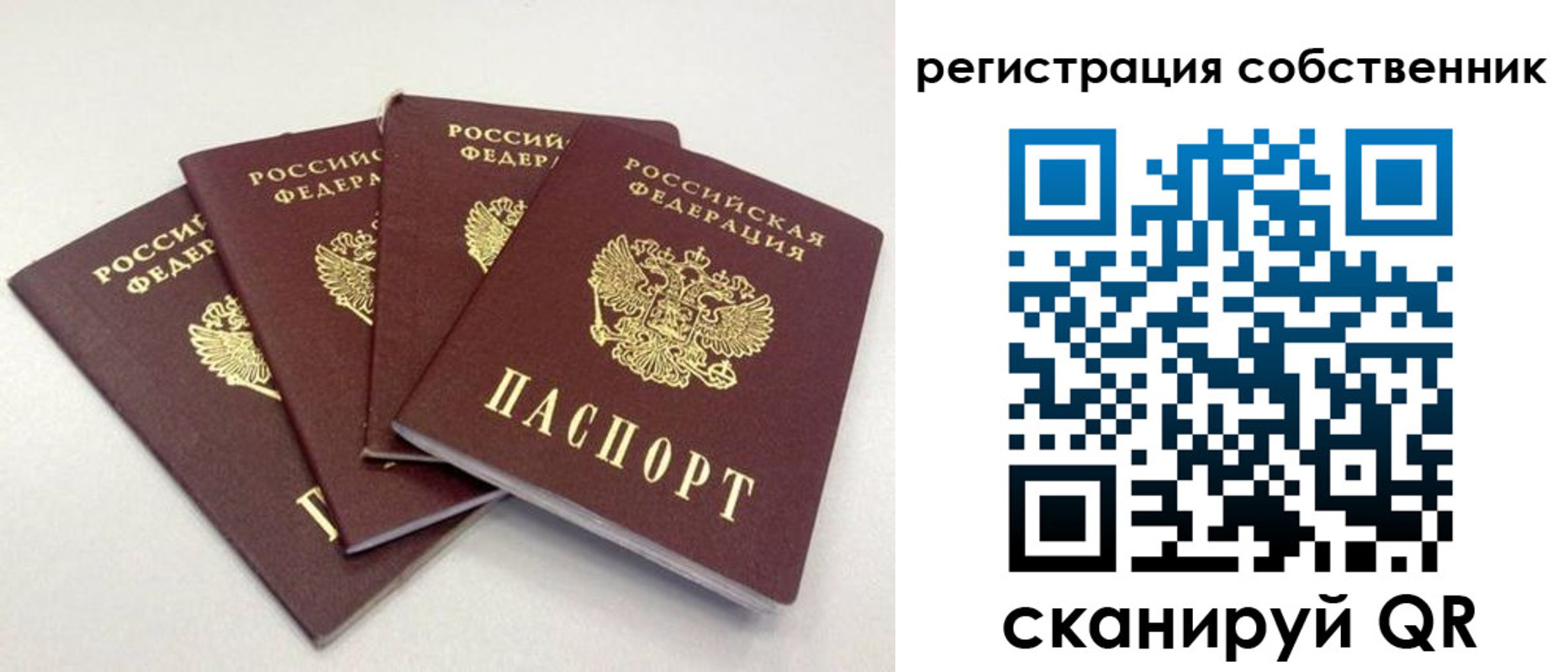 прописка для школы в Кстово